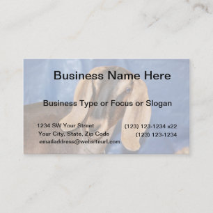 Nubian doe head against blue business card