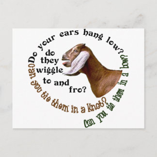 NUBIAN GOAT - DO YOUR EARS HANG LOW? POSTCARD