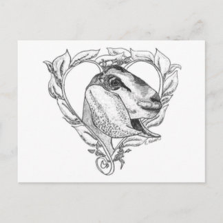 Nubian Head in Heart Postcard