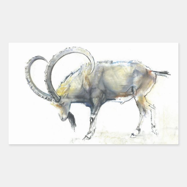 Nubian Ibex 2008 Rectangular Sticker (Front)