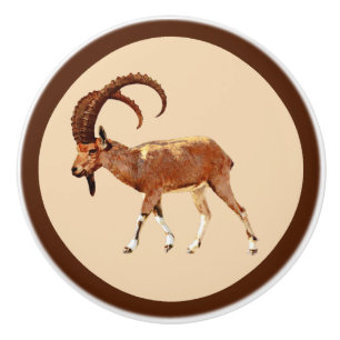 Nubian Ibex - Ein Gedi Ceramic Knob