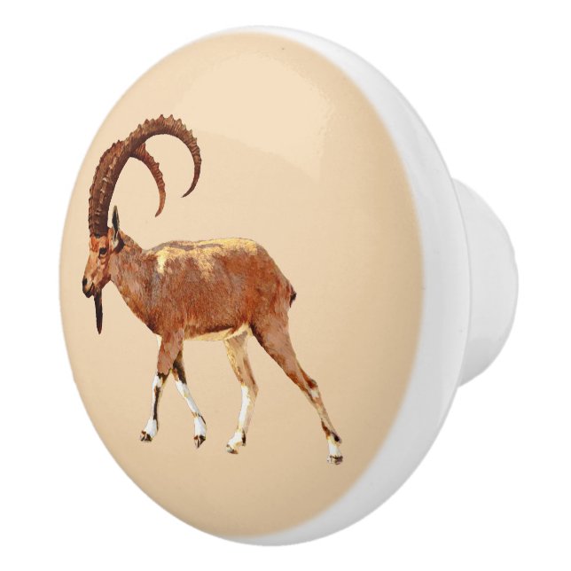 Nubian Ibex - Ein Gedi Ceramic Knob (Right)