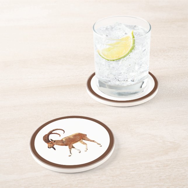 Nubian Ibex - Ein Gedi Coaster (Side)