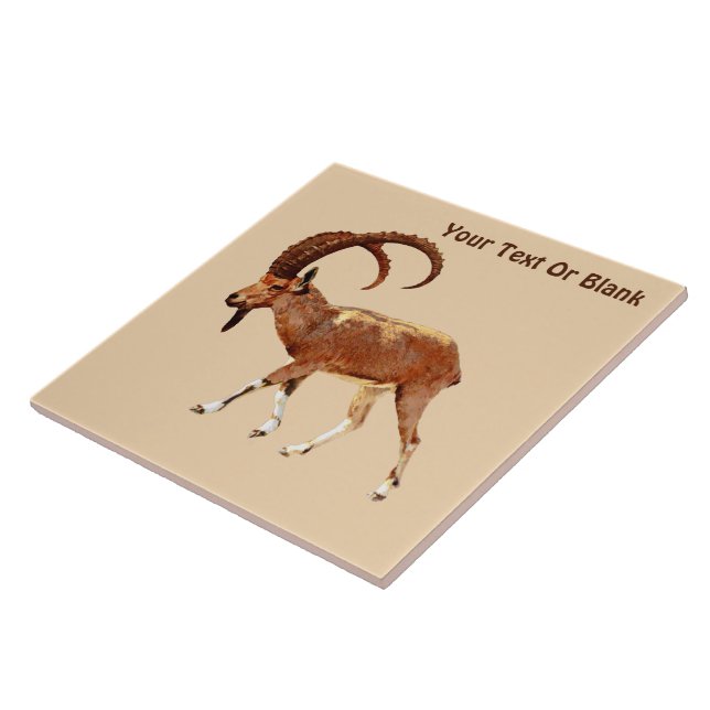Nubian Ibex - Ein Gedi Tile (Side)
