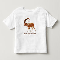 Nubian Ibex - Ein Gedi