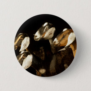 Nubians Does Focused 6 Cm Round Badge