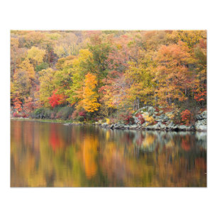 Nuclear Autumn Photo Print