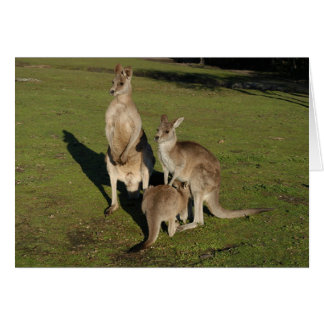 Nuclear 'Roos