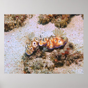 Nudi Pair Poster