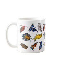 Nudibranch Sea Slugs