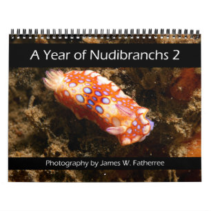 Nudibranch Wall Calendar 2 by J. Fatherree