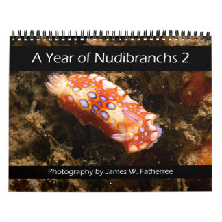 Nudibranch Wall Calendar 2 by J. Fatherree