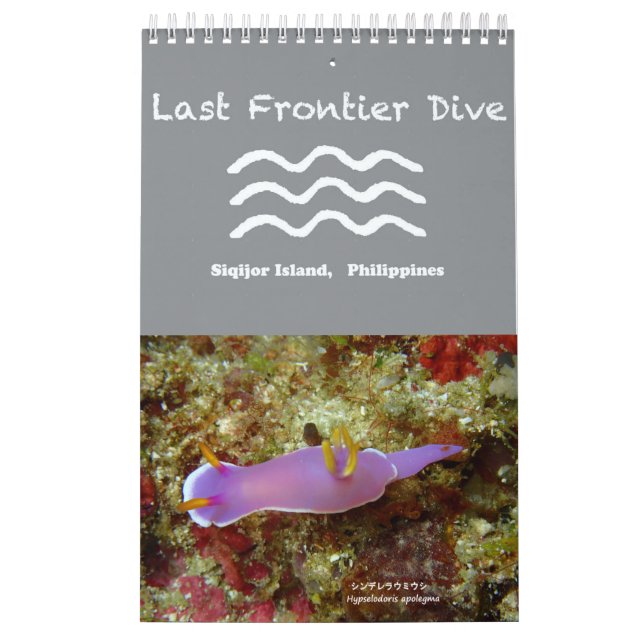 Nudibranchs in Siquijor: Desktop Calendar (Cover)