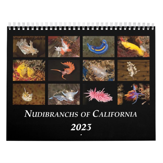 Nudibranchs of California Calendar (Cover)