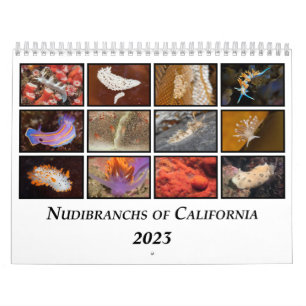 Nudibranchs of California Calendar