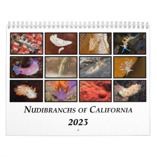 Nudibranchs of California Calendar