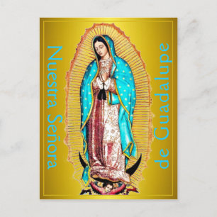 Nuestra Señora de Guadalupe Postcard