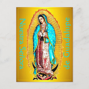 Nuestra Señora de Guadalupe Postcard
