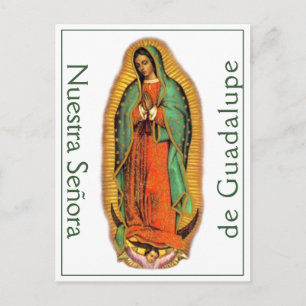 Nuestra Señora de Guadalupe Postcard