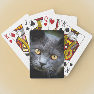 Num-Num the Neighbourhood Cat Playing Cards