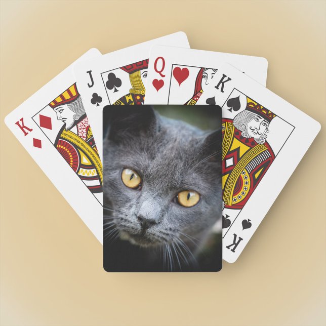 Num-Num the Neighbourhood Cat Playing Cards (Creator Uploaded)