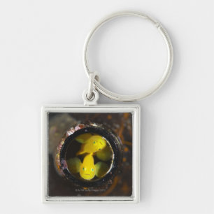 Numazu, Shizuoka Prefecture, Japan Key Ring