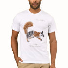 Numbat (Myrmecobius fasciatus)