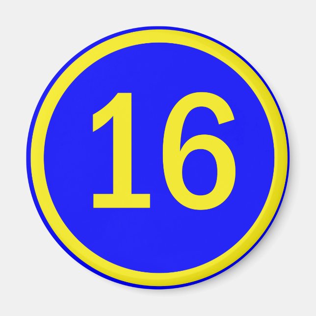 number 16 in a circle magnet (Front)