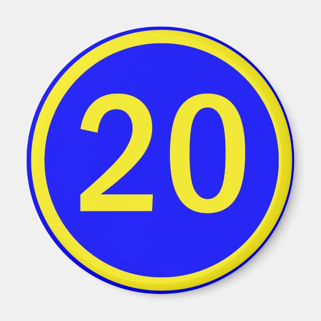 number 20 in a circle magnet (Front)
