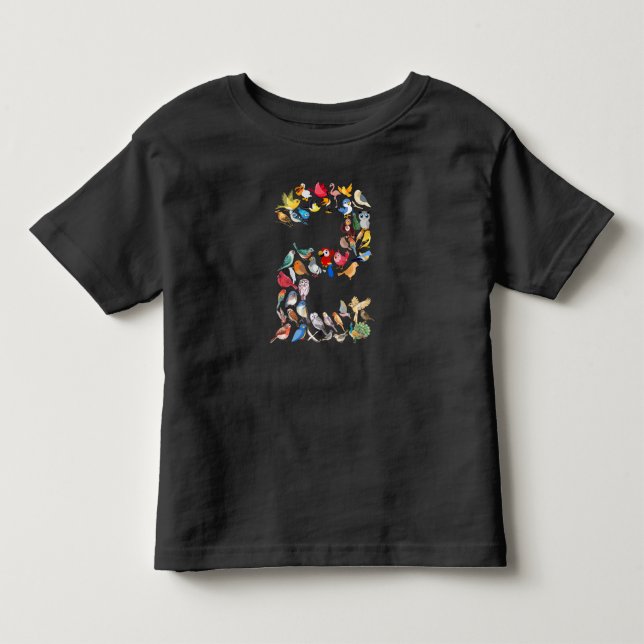 Number 2 Birds Theme 2 Year Old Toddler T-Shirt (Front)