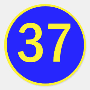 number 37 in a circle classic round sticker