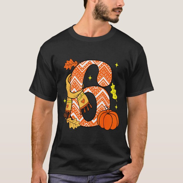 Number 6 67 Fall Autumn Pumpkin Meme Funny Six Sev T-Shirt (Front)