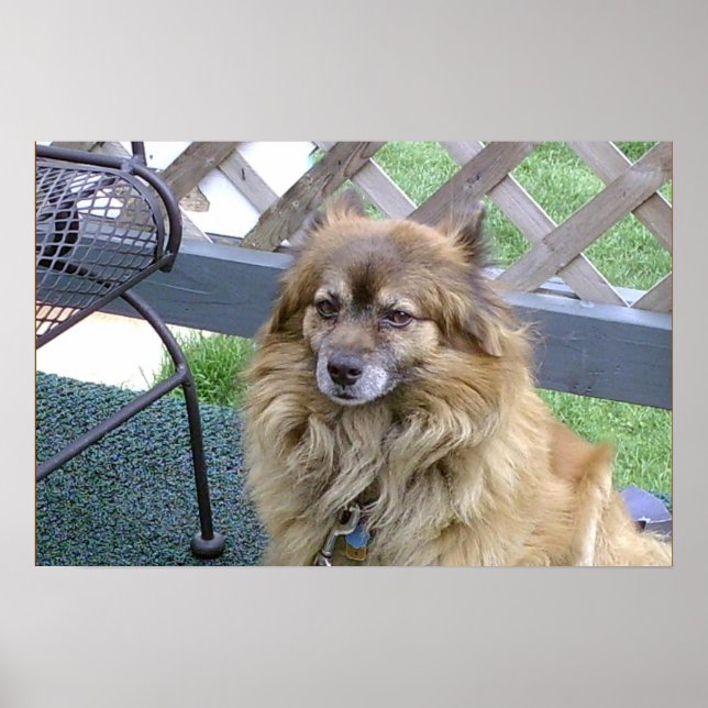 Number One Son Poster (Front)