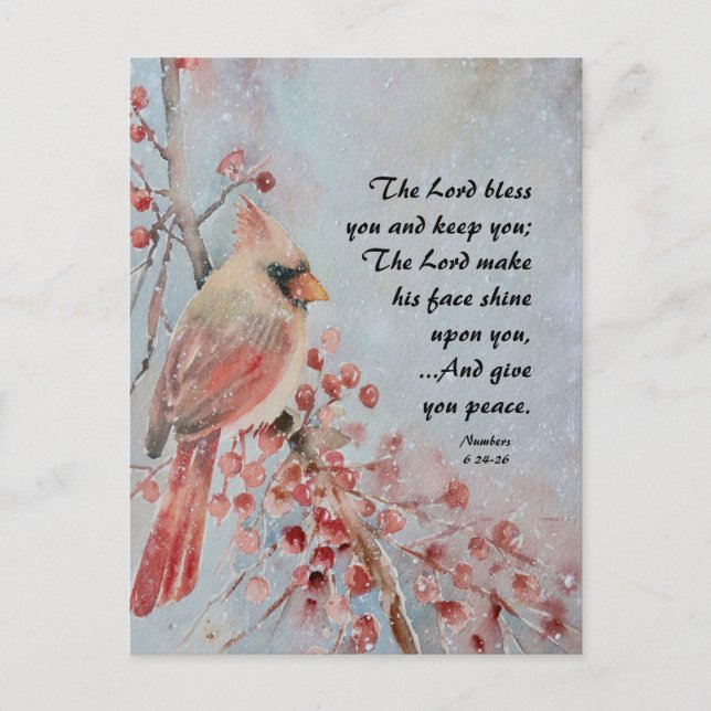 Numbers 6 24-26 Lord Bless You Red Bird & Berries Postcard (Front)