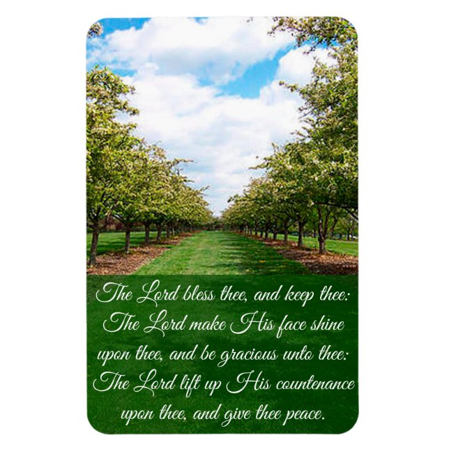 Numbers 6:24-26  postcard magnet (Vertical)