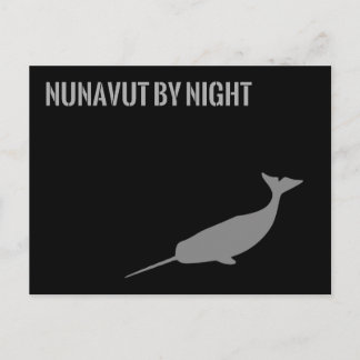 Nunavut by Night Postcard