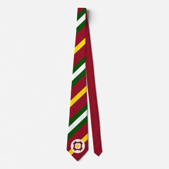 NUP Multi-Colored Tie (Front)