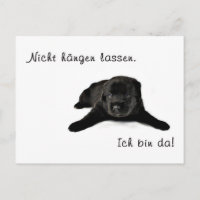 Nur Mut