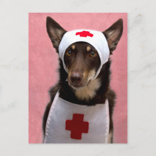 Nurse Ally Postcard