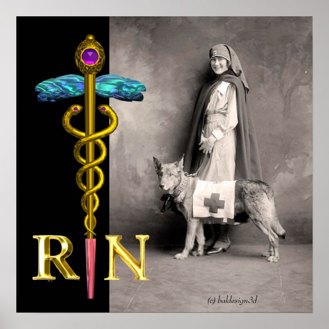 NURSE AND RESCUE DOG /Gold Caduceus RN Emblem Poster (Front)