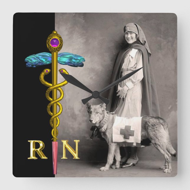 NURSE AND RESCUE DOG /Gold Caduceus RN Emblem Square Wall Clock (Front)