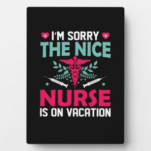 Nurse Gift I'm Sorry The Nice Nurse Plaque