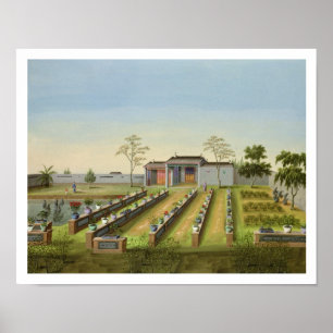 Nursery Garden, c.1820-40 (w/c on paper) Poster