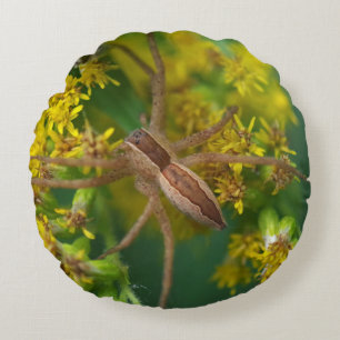 Nursery Web Spider Pillow