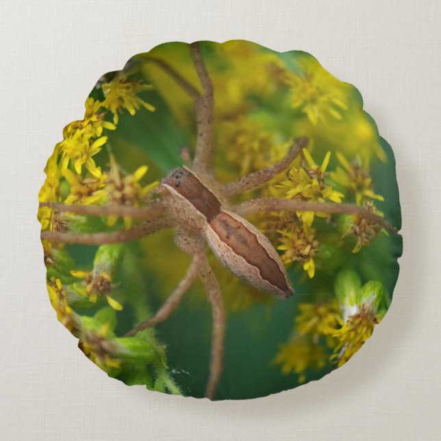 Nursery Web Spider Pillow (Front)