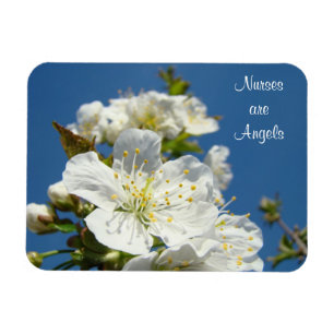 Nurses are Angels magnets Blue Sky Cherry Blossoms