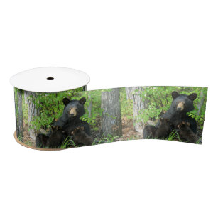 Nursing Black Bears Nature Satin Ribbon