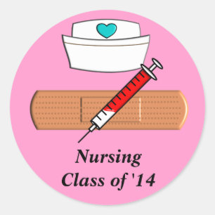 Nursing Student Class of 2014 Stickers Pink