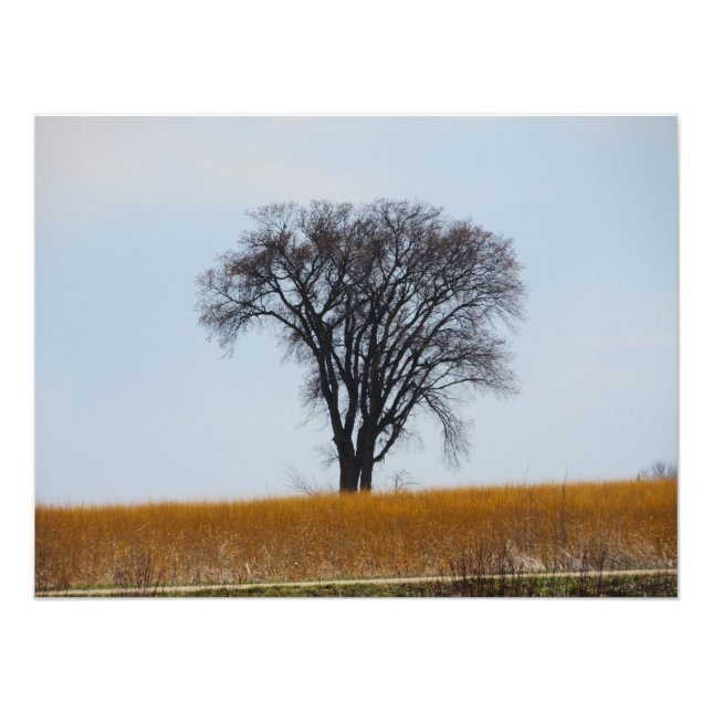 "Nurtured in Bloodshed" Photo Print (Front)