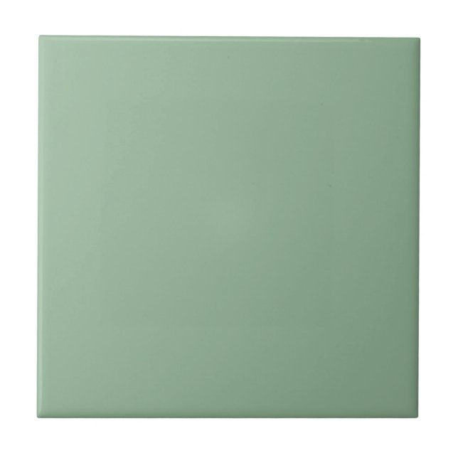 Nurturing Green Square Kitchen and Bathroom Ceramic Tile (Front)